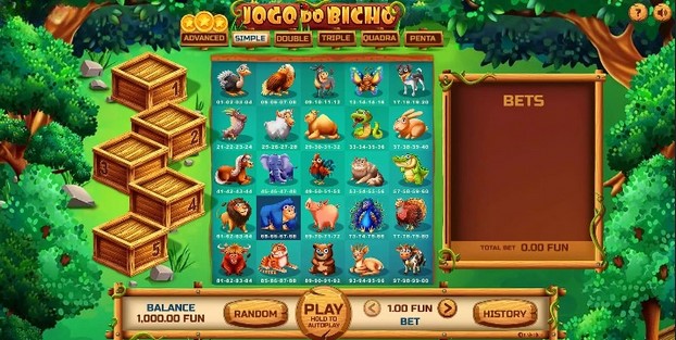 Jogo do Bicho Theme & Design