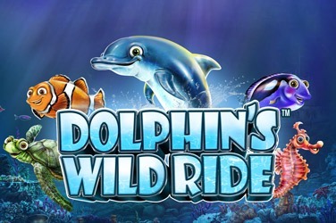Dolphin’s Wild Ride