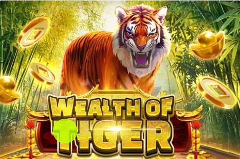 Wealth of Tiger