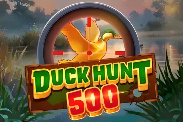 Duck Hunt 500