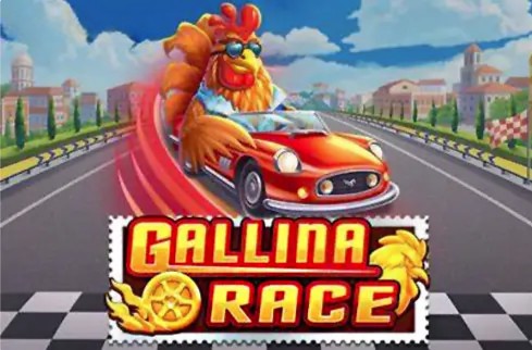 Gallina Race
