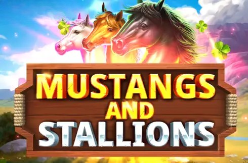 Mustangs and Stallions