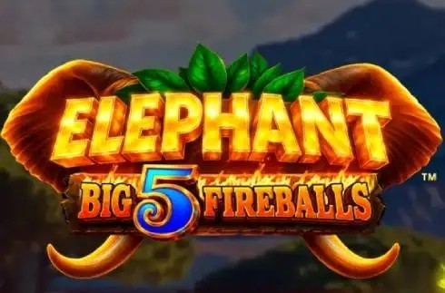 Elephant Big 5 Fireballs